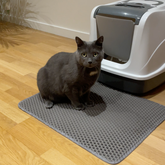 Tapis de litière innovant